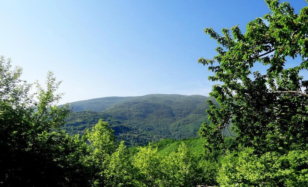 Hotel Vrionis Agios Dimitrios  Bagian luar foto